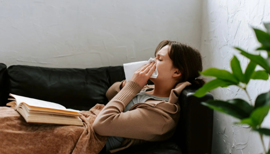 purificateur d'air pollen