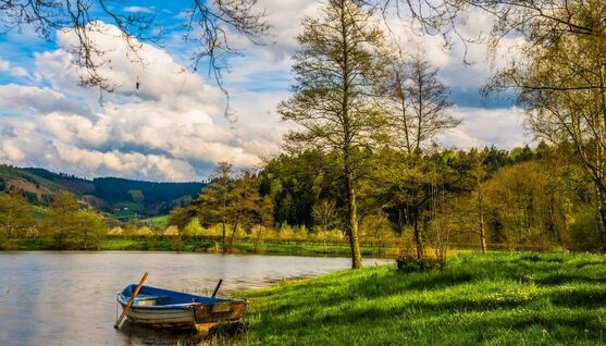 negative ions in the nature