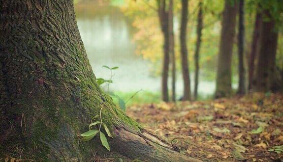 L'ionisation de l'air par la nature et ses bienfaits