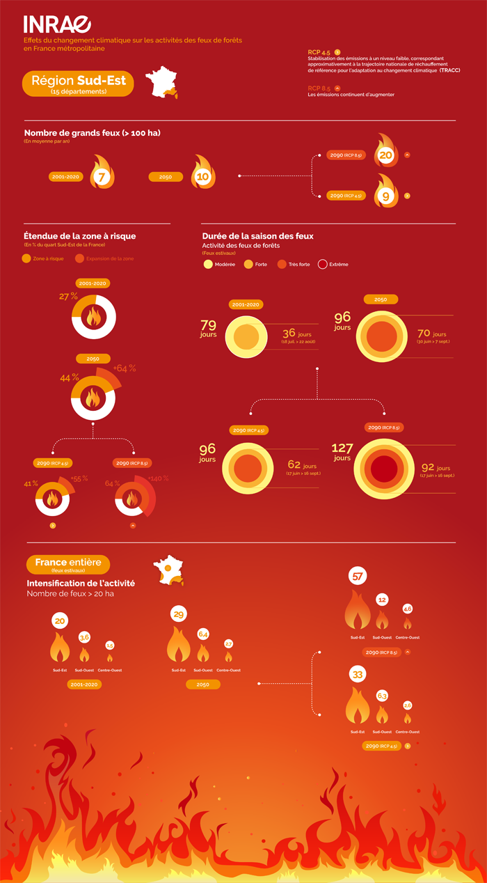 forest fire impact on respiratory health