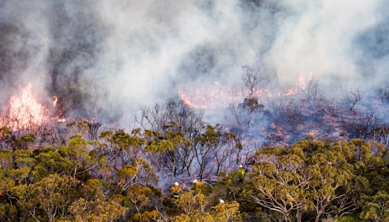 Incendies au Canada et pollution de l'air