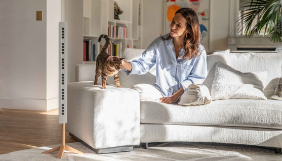 animals dog cat air quality