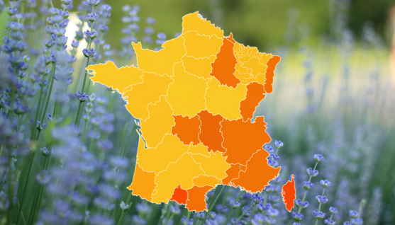 carte pollens france