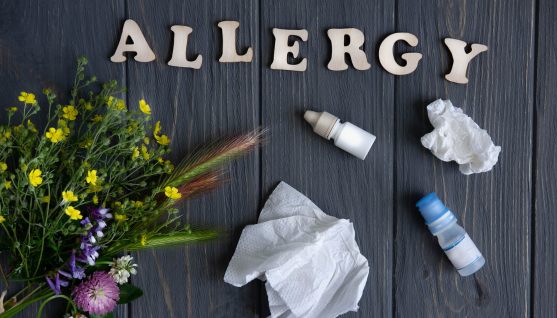 air purifier for allergies