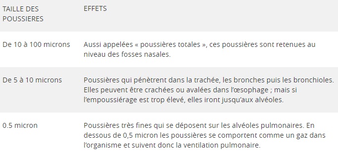 Poussières toxiques de bois : pénétration dans l'organisme