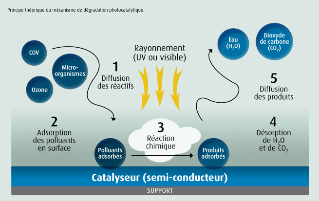 Das Prinzip der Photokatalyse