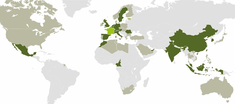 TEQOYA international