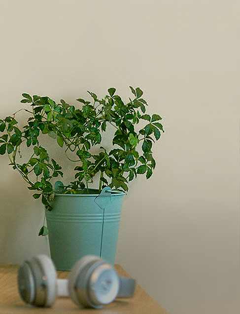 TEQOYA E500 Air Purifier