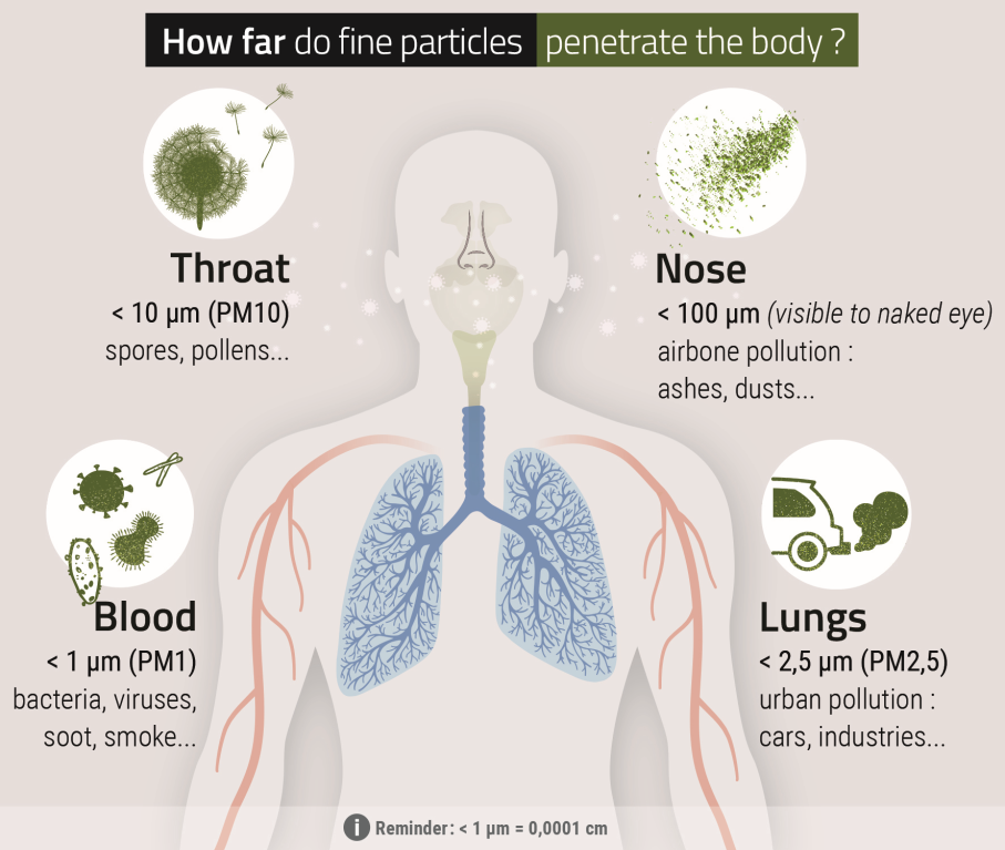 pollutant particles in the body