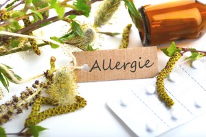 allergy pollens picture