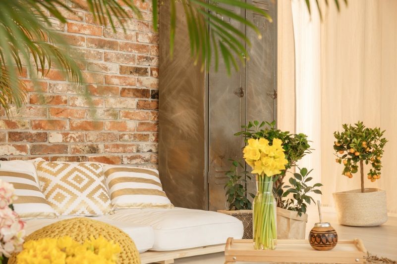 Purification de l'air et bien-être