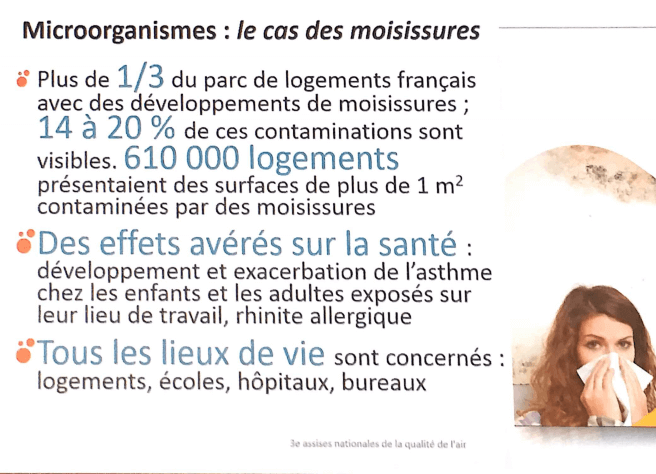 Moisissures, polluants biologiques courants