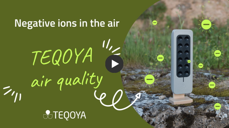 Ioniseurs TEQOYA source d'ions négatifs